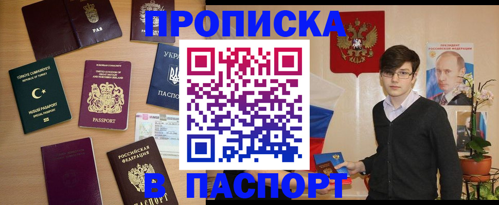прописка 2025 в Шадринске